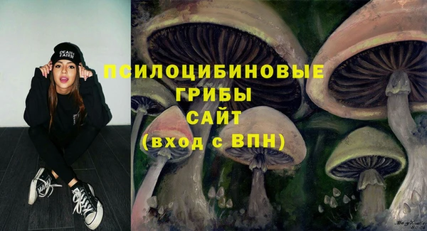 a pvp Белокуриха