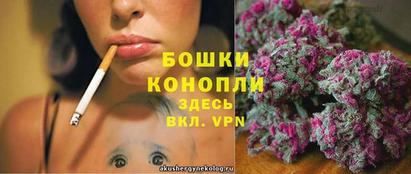дживик Белоозёрский